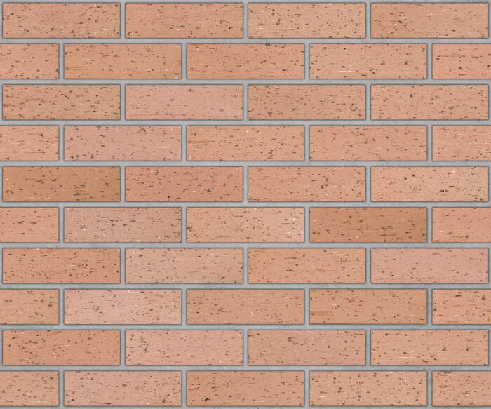 Buff Blend - Image 2
